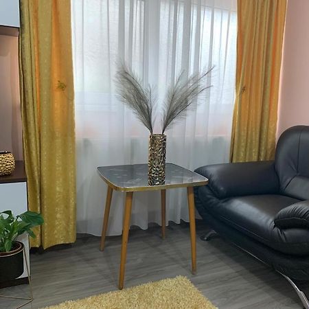 Appartement Garsoniera Madalina à Sibiu Extérieur photo