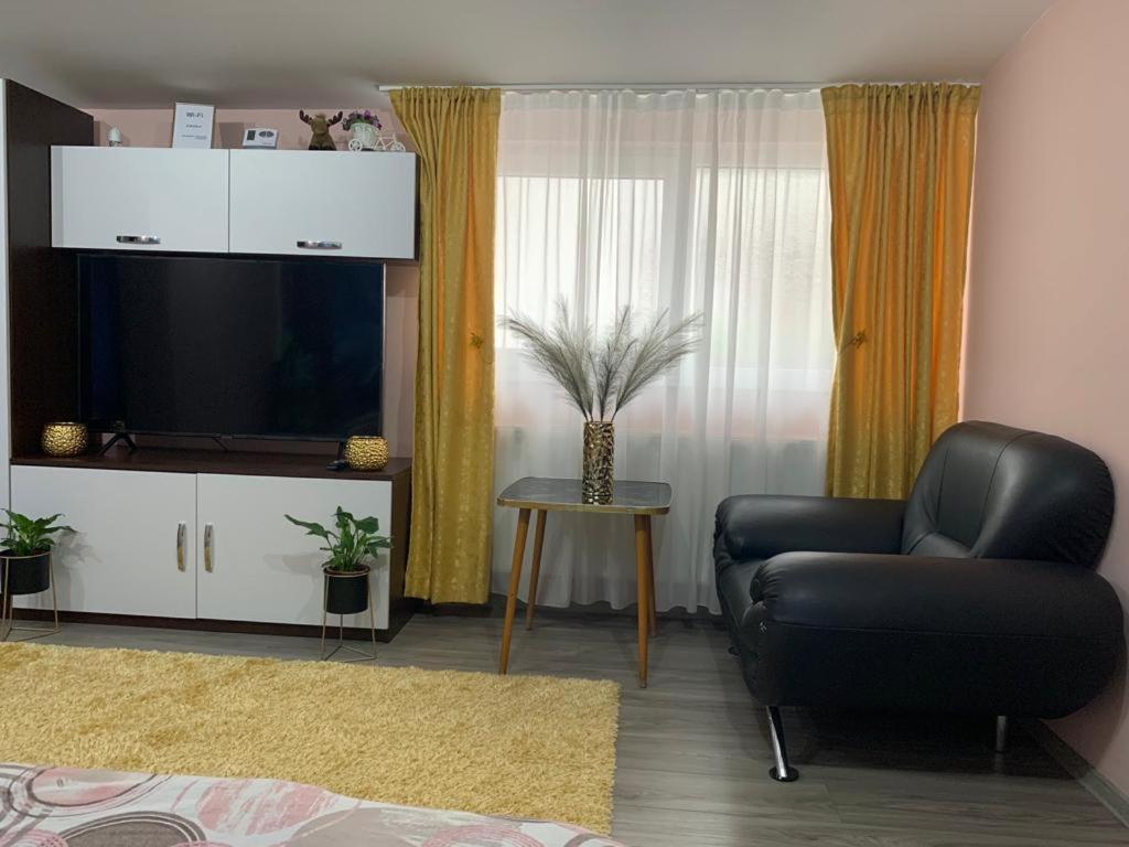 Appartement Garsoniera Madalina à Sibiu Extérieur photo