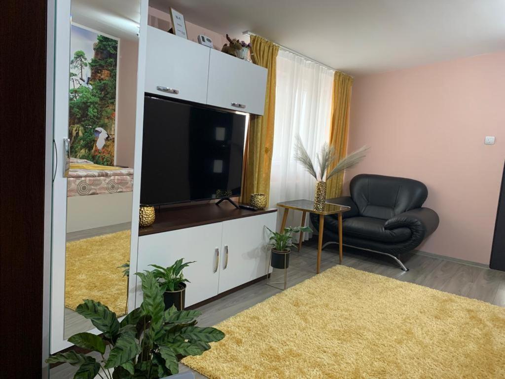 Appartement Garsoniera Madalina à Sibiu Extérieur photo