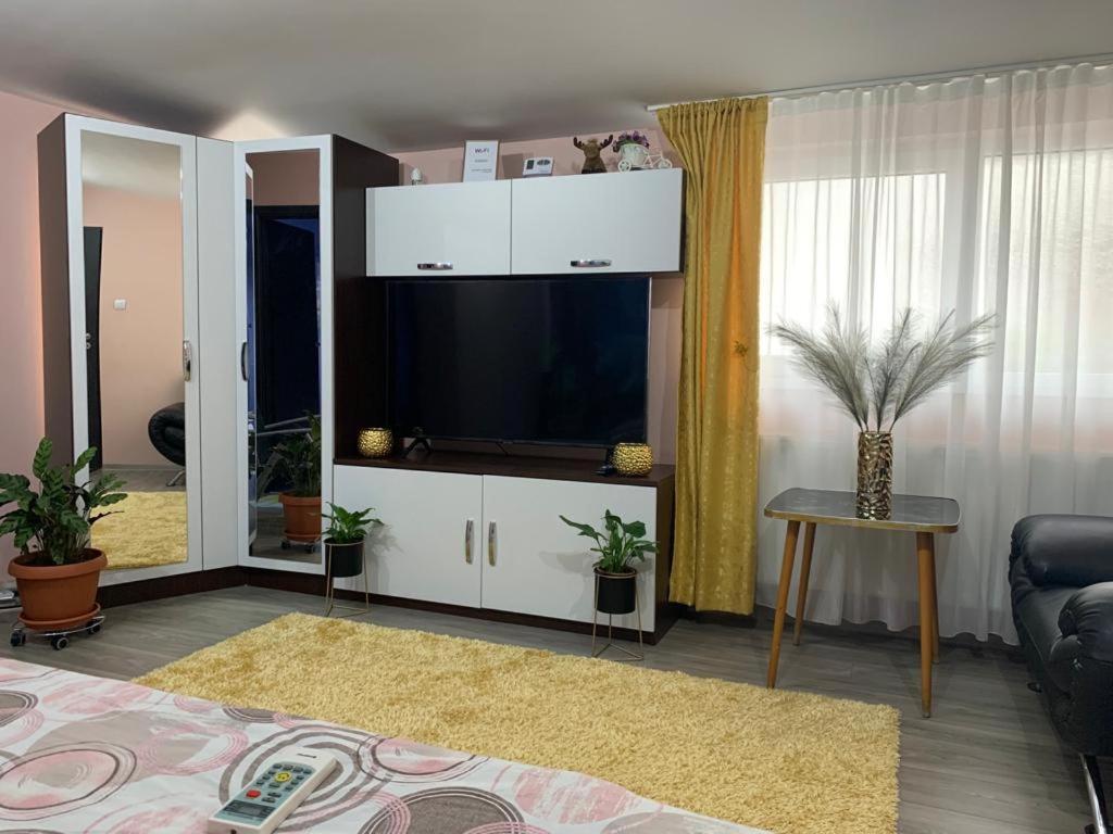Appartement Garsoniera Madalina à Sibiu Extérieur photo