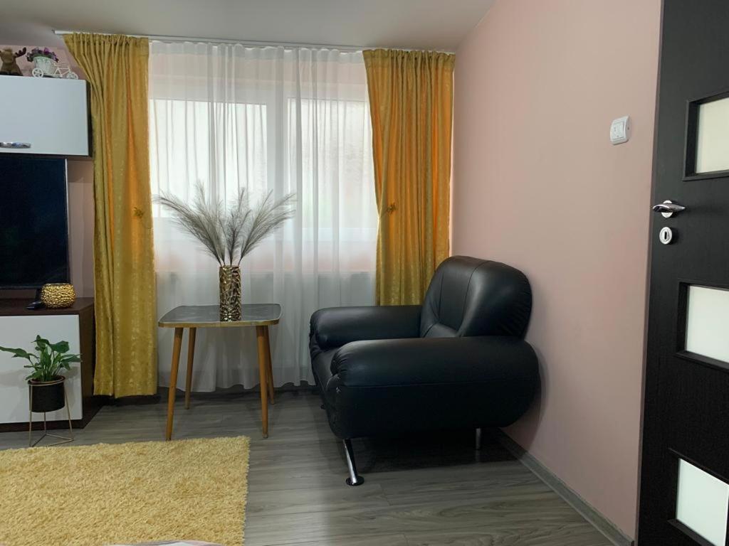 Appartement Garsoniera Madalina à Sibiu Extérieur photo