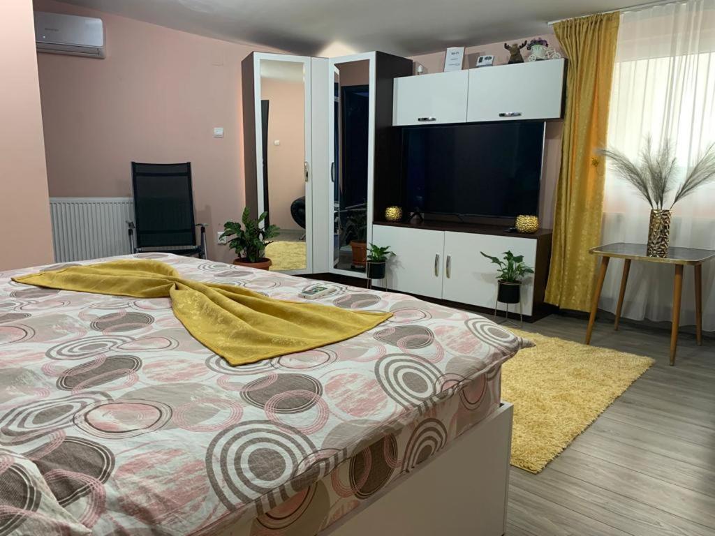 Appartement Garsoniera Madalina à Sibiu Extérieur photo